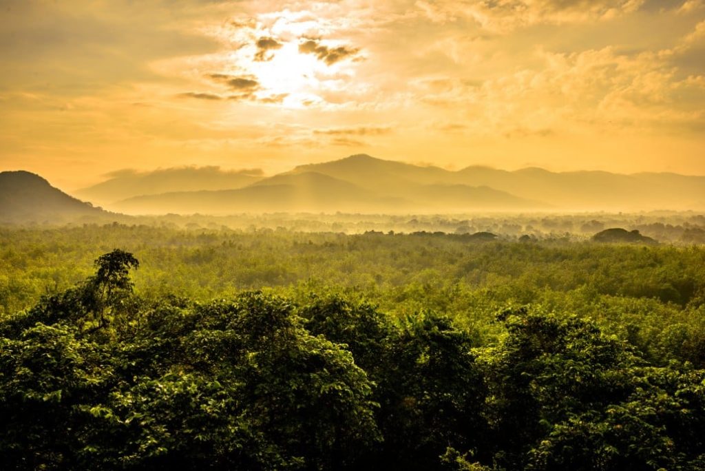 Idées vacances : Voyage photo au Sri Lanka