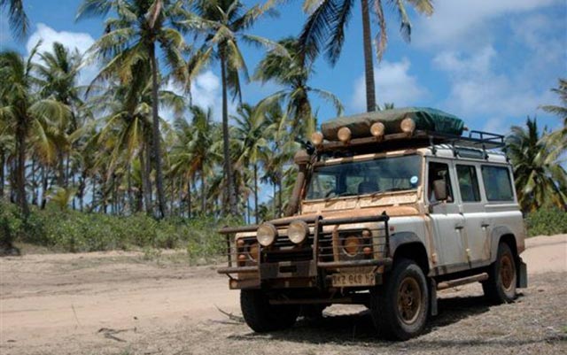 Idée de voyage : Safari en Afrique du Sud