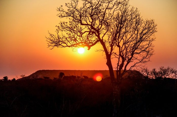 Paysage, Madagascar, Montagnes, Arbres, Tourisme