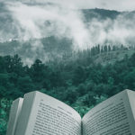 Quelles livres de romance emporter pour vos vacances ?