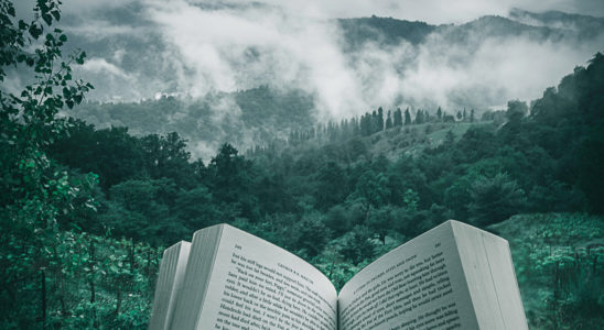 Quelles livres de romance emporter pour vos vacances ?