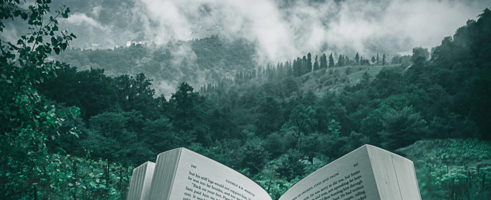 Quelles livres de romance emporter pour vos vacances ?